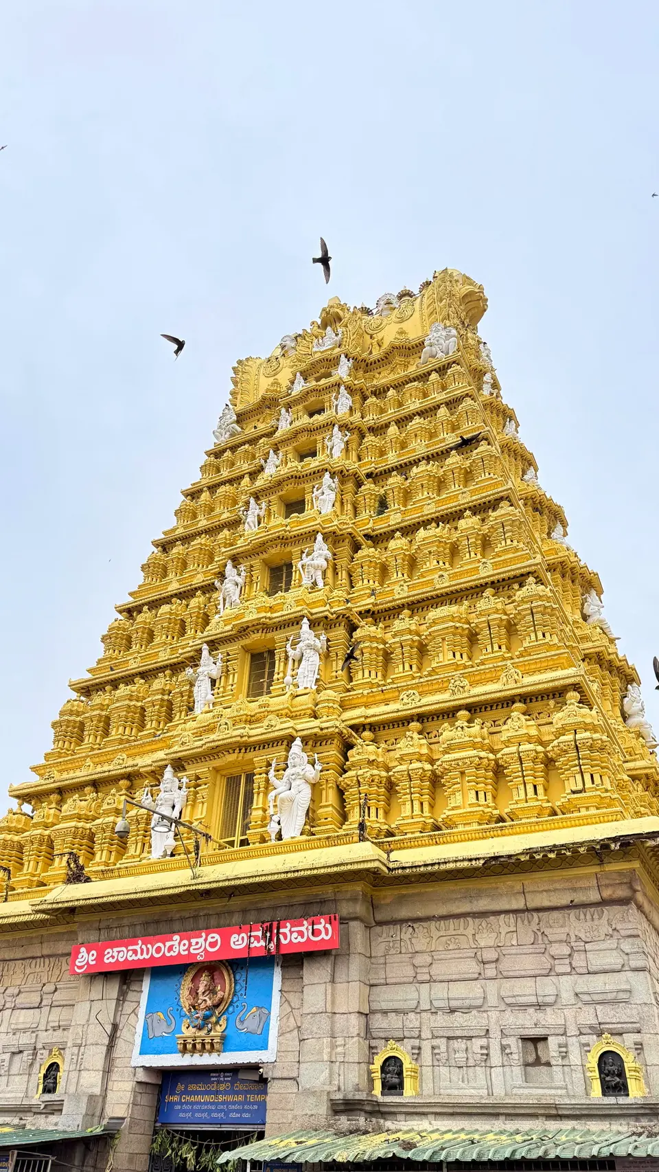 Mysore