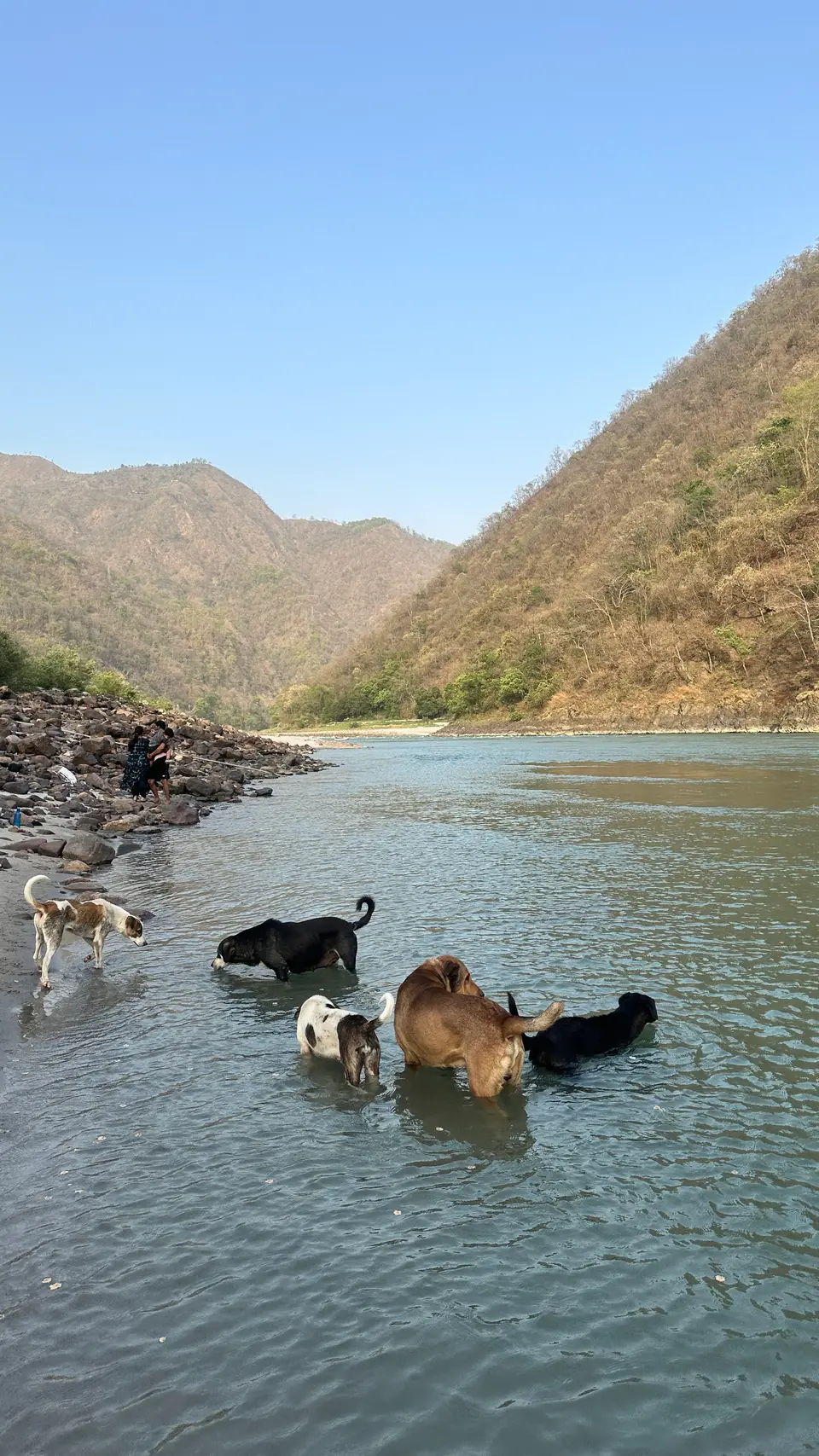 Shivpuri